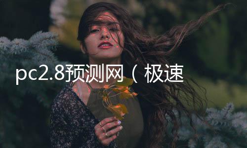 pc2.8预测网（极速pc28预测网）